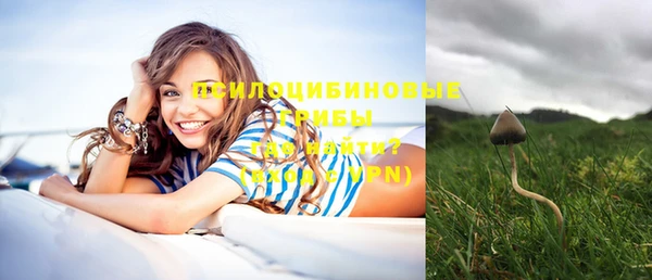 альфа пвп Медвежьегорск