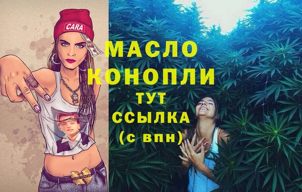 дмт Мегион